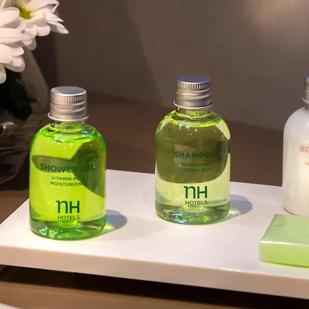 Nh米兰会议中心酒店 4* 阿萨哥